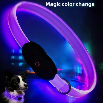 LED Reflective Dog Safety Collar – Nighttime Visibility
