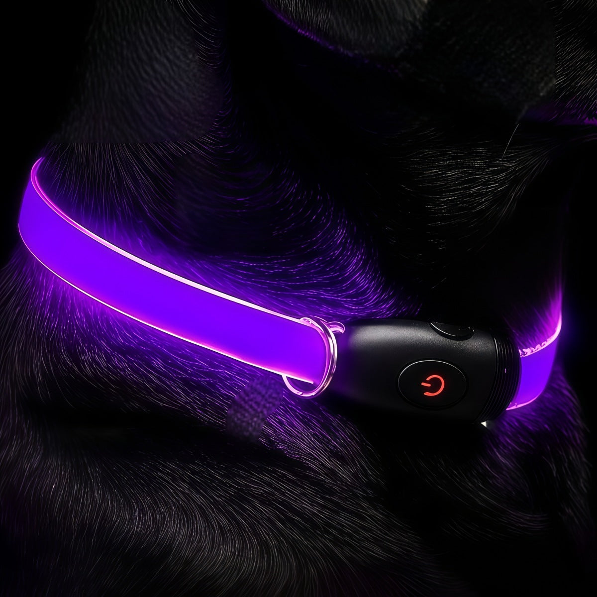 LED Reflective Dog Safety Collar – Nighttime Visibility