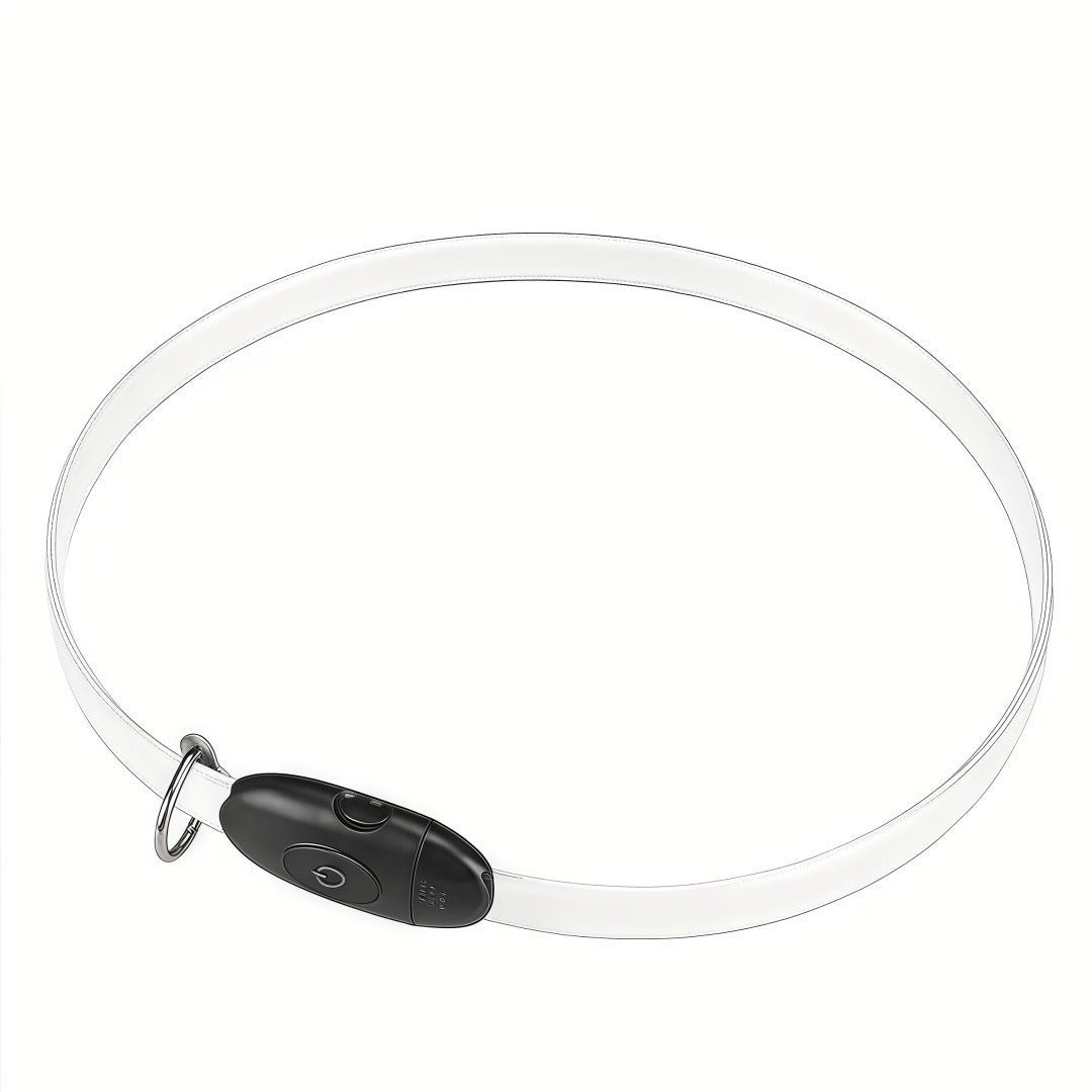 LED Reflective Dog Safety Collar – Nighttime Visibility