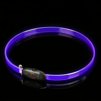 LED Reflective Dog Safety Collar – Nighttime Visibility